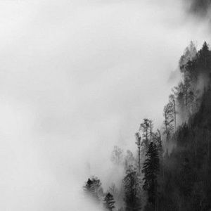 Meet your Posher, Zhanna